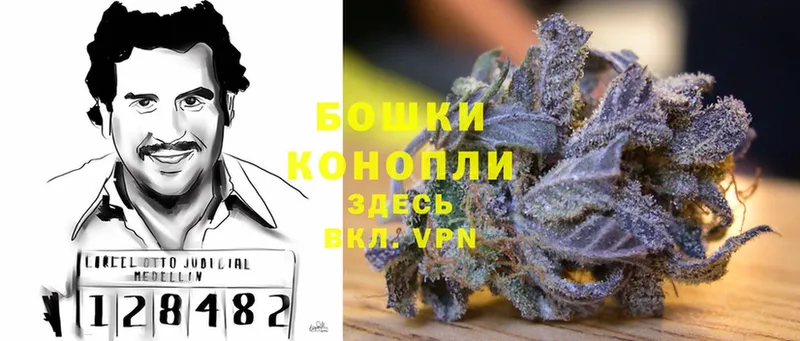 Шишки марихуана White Widow  Мамоново 